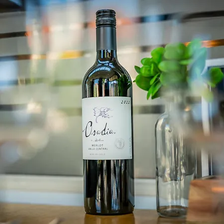 Otel Hotel Millingen 3*