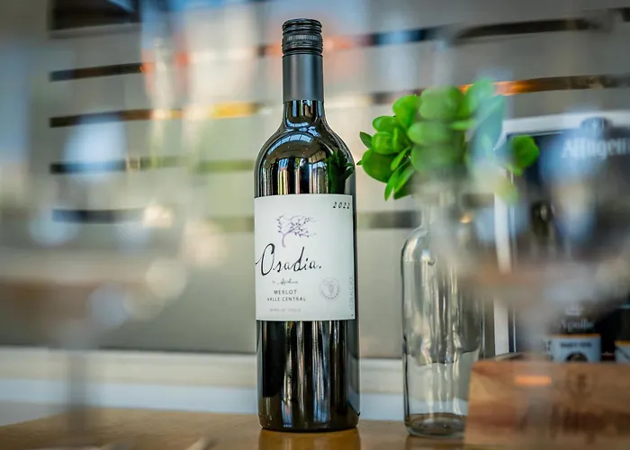 فندق Hotel Millingen 3*