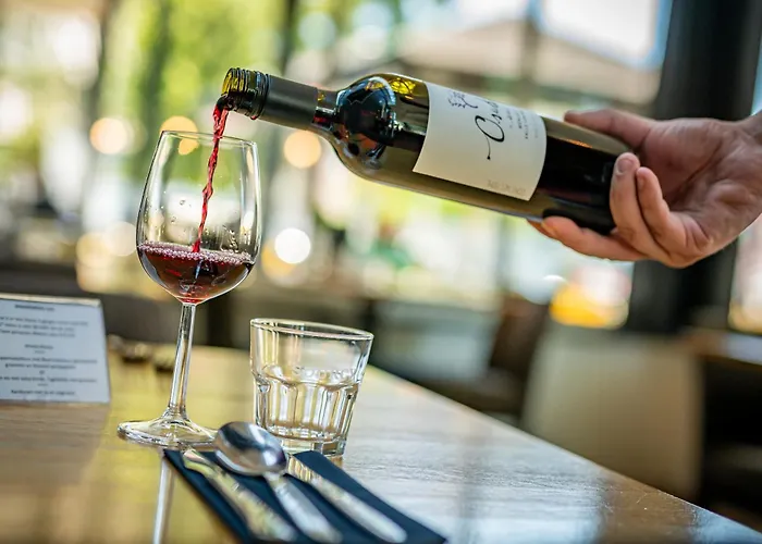 Hotel Millingen فندق