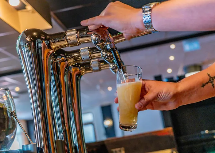 Hotel Millingen 3* ميلينجن آن ده راين