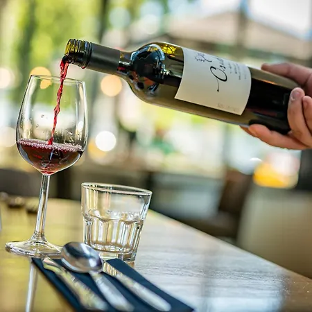 Hotel Millingen Hotel